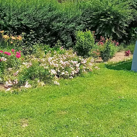 Baci For 4 Guests Apartment *