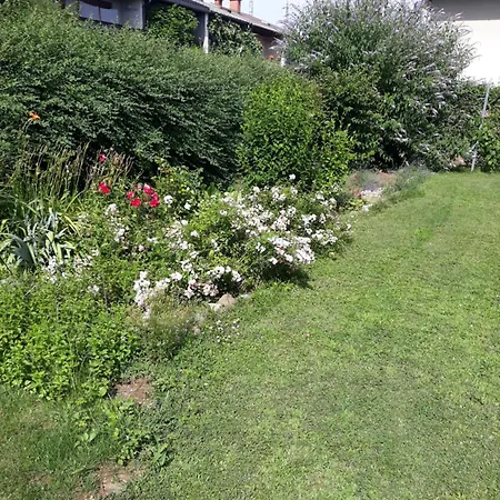 Baci Retreat, Roseart Apartman