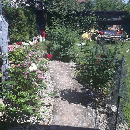 Baci Retreat, Roseart