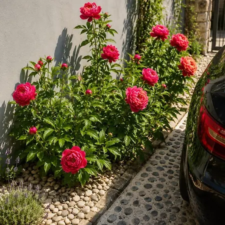 Baci Retreat, Roseart Apartman