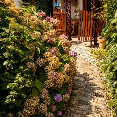 Baci Retreat, Roseart Apartman *