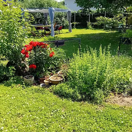 Baci For 4 Guests Apartamento *